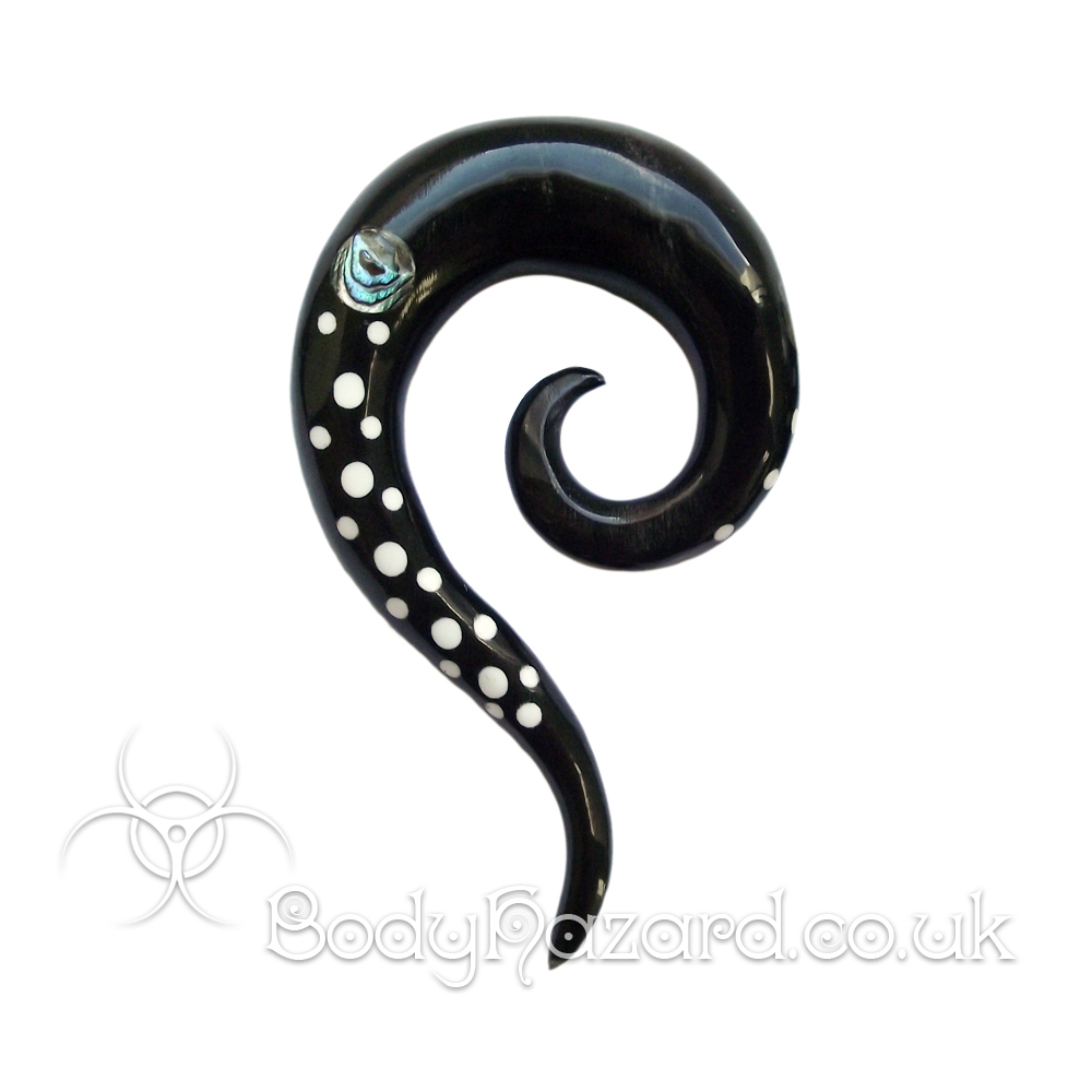 Pair of Horn Spiral with White Dots & Paula Shell Inlay Pair of Horn Spiral with White Dots & Paula Shell Inlay