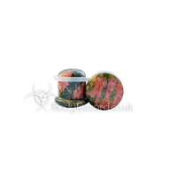 Unakite Stone Single Flared Ear Plug Unakite Stone Single Flared Ear Plug